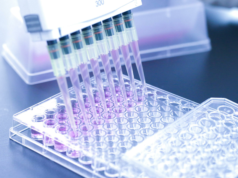 Cell line development