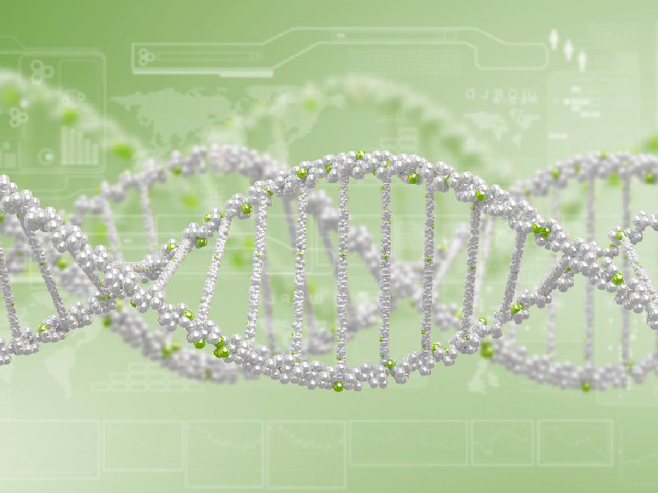 What are protein characterization services?