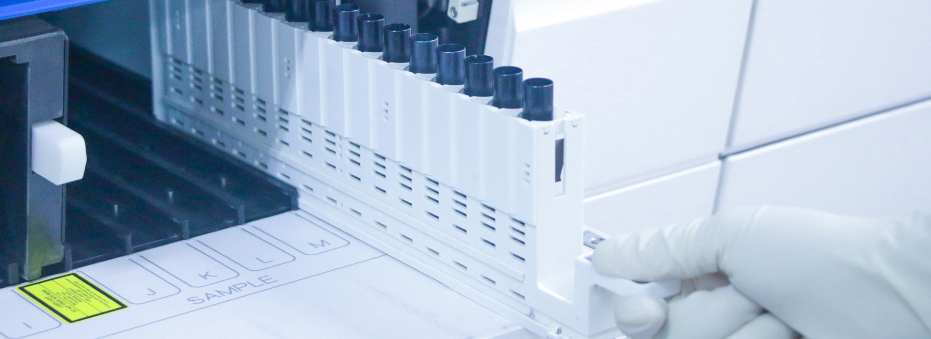 Hualan Ankang Biologics Inc.